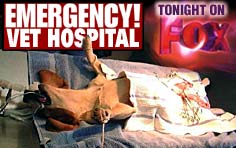 Emergency! Vet Hospital